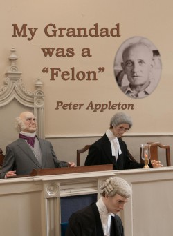 Book Cover - Felons